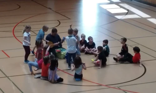 Ballgewöhnung Ballgewöhnung